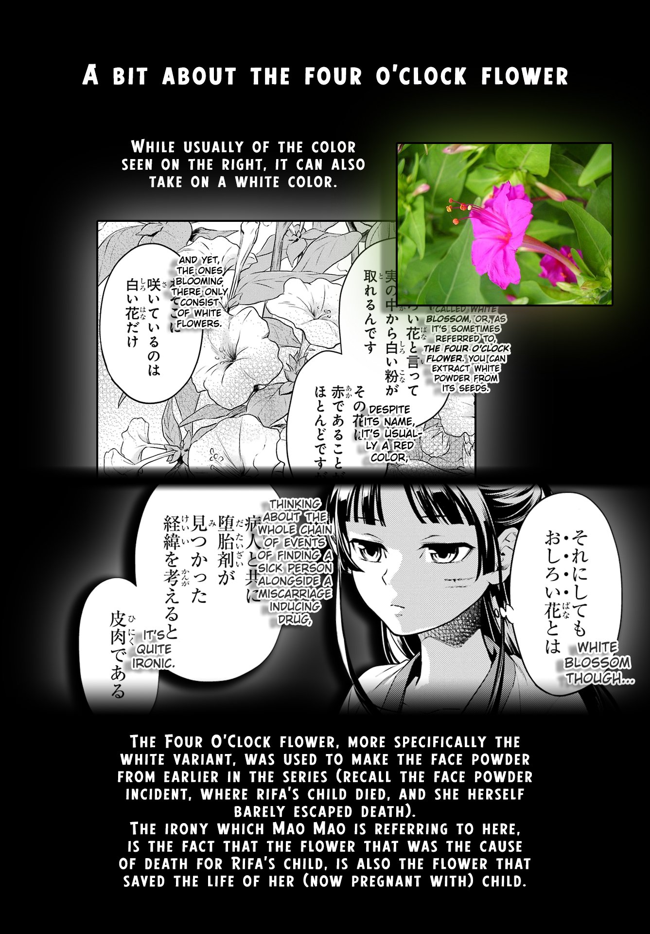 The Apothecary Diaries, Chapter 52.2 image 19
